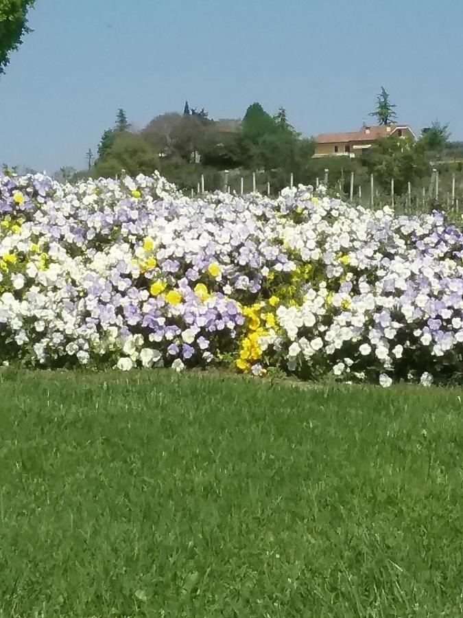 Appartamento Filippo Castelnuovo del Garda Exterior foto